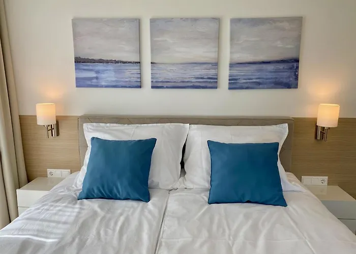 Carbona 104 * ヘーヴィーズ